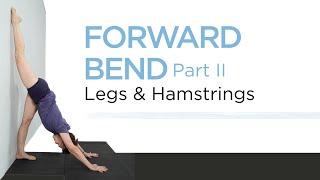 Iyengar Yoga for Legs and Hamstrings-Forward Bend Part II--Intermediate