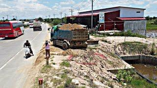 Fantastic dump truck pouring soil with Strong Komatsu bulldozer push land next to the Road.