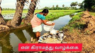 அழகான என் காலை வேலைகள் | Morning Routine Vlog | Indian Village Life