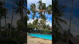 Travel to Kenya Diani beach #kenyatravel #visitkenya #kenyavlog #shorts #travelshorts #dianibeach