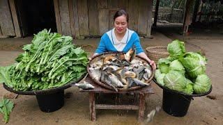 265 Days: Harvest Fish, Vegetables, Sweet Potato - Build Bamboo House, Cooking, Farm | Lý Thị Ca