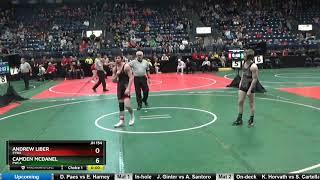 Andrew Liber Sywa vs Camden McDanel Pwca 2019 OAC Junior High State 154lbs Semi