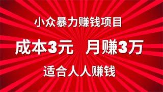 2023网赚项目分享！分享一个成本3元，月赚3万的低成本小众暴力赚钱项目，适合人人操作赚钱！