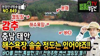 (강추) 해수욕장과 소나무숲 정도는 있어야죠!! 충남 태안 전원주택 펜션 오토캠핑장 바다를 접한 특별한 곳으로 외에도 다양한 용도 가능 태안부동산 - 발품부동산TV