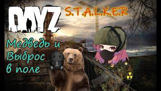 Тёмная лощина полна приколов | DayZ STALKER PVE