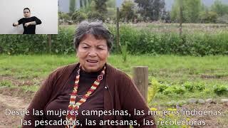 DefensorasTodas: Asociación Nacional de Mujeres Rurales e Indígenas (ANAMURI)