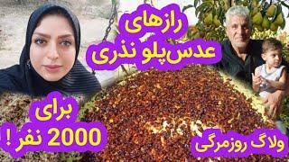 ولاگ آشپزی، روزمرگی من، رازهای یه عدس پلو نذری بی نظیر برای 2000 نفر