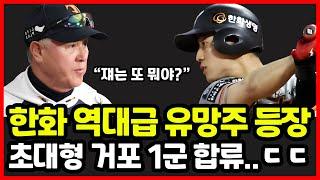 한화이글스 역대급 유망주 드디어 1군 합류! 김경문 감독 직접 선택한 깜짝 카드 정체는?