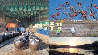 SUB 시골마을의 겨울풍경과 먹거리 참외장아찌 꼭 담아보세요‍️ 겨울철 닭이 알을 잘 낳게 하는법🪺 아무런 걱정없이 살거같은 여자의 # 시골 일상 vlog