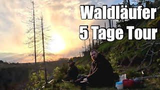 5 Tage Waldläufer Tour 5 Tage mit 4 Jahreszeiten durch die Natur #WaldläuferTour 63