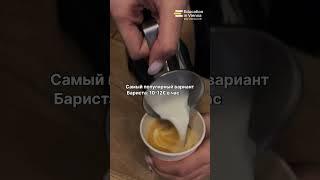 Как зарабатывать студенту в Австрии?