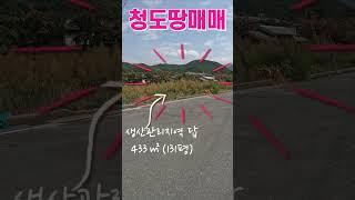 접근성 좋은 반듯한 청도땅매매 금천면 #shorts