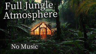 Full Jungle Atmosphere  | 2 Hours of Pure Nature