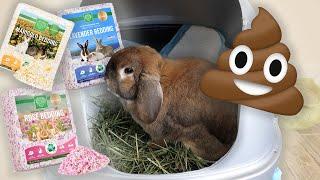 How to Potty Train a Rabbit