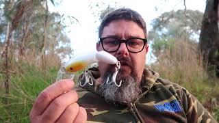 Codger surface lure  Murray cod fishing surface lure review