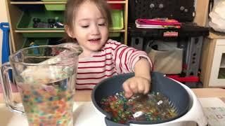 Water beads Lava Lamp Science Activity(워터비즈로 라바램프 만들기)