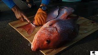 How to Fillet a Red Snapper