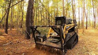 8 HOUR MULCHING TRANSFORMATION TIMELAPSE! 2 ACRES TRANSFORMED INTO CITY PARK!