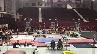 Natalie Yang, Beam - 9.80 (@ Temple March 6, 2020)