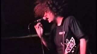 The Melvins @ Rhythm & Brews. Indio, CA 7/27/94