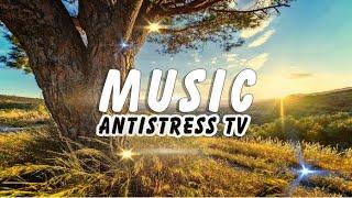  Это Лёгкая Музыка 2020 для Сказочного Настроения [Antistress TV Music] Relax Music