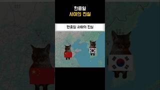 한중일 사이의 진실