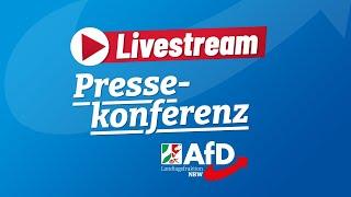 ++ Pressekonferenz: AfD-Initiativen im Plenum ++