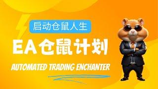 EA仓鼠计划~启动你的财富魔法｜#MT4 #MT5｜新手必看【#hamsterkombat  #CFD】(教学使用) 感谢大家支持