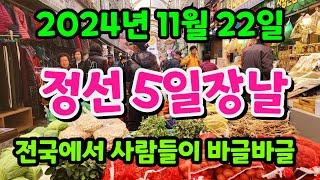 먹거리 풍성하고 전국에서 사람들이 바글바글 몰리는 정선5일장날  2024년 11월 22일 금요일