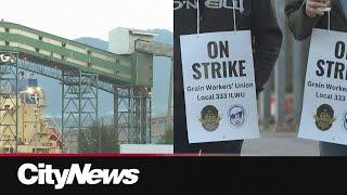 Metro Vancouver grain workers begin strike