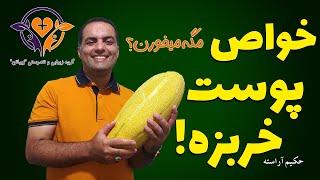 خواص پوست و بذر خربزه - حکیم آراسته ، زیباتن