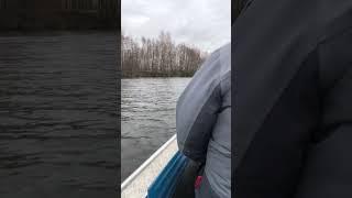 Едем в секретную протоку #Lawyer-Fisherman #fishing #shorts #fish #volgariver #fishingvolg #рыбалка