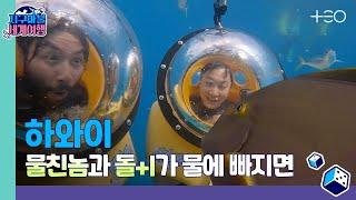 [ENG SUB] 빠니보틀 - 하와이 - 5라운드  │지구마불 세계여행 | TEO