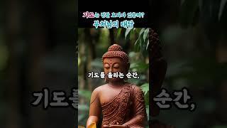 부처님 말씀 기도는정말 효과가 있을까 부처님의대답| 기도의힘|마음치유|부처님가르침|불교명상|감정정화|불교수행|부처님의지혜|등불편지|명상과기도|불교오디오북