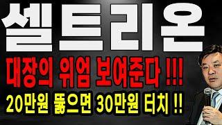 셀트리온 대장 위엄 나온다! 30만원 급등 시도 나온다! 셀트리온 주가 전망