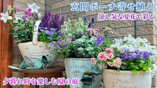 【夏から秋まで咲くお花＊玄関ポーチ寄せ植え】【無理せず楽しむ夏の庭】開花期が長い夏の花/ガーデニング/梅ジュース/・パイナップルリリー