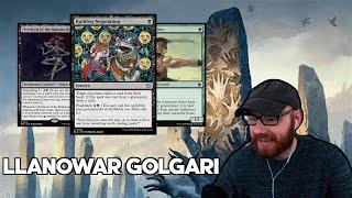 Ooze It or Lose It! | Llanowar Golgari | FDN Standard Bo3 | MTG Arena