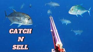 CATCH N' SELL || SPEARFISHING PHILIPPINES || TREVALLIES SEASON || BANTON ROMBLON!