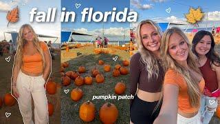 the perfect fall day *fall in florida* 