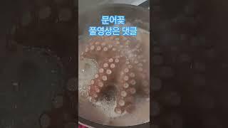 문어 술안주 만드는중 #문어꽃 #풀영상은댓글