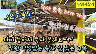 [땅임자찾기-25154]민원 걱정없는 서산시 고북면 축사 및 낡은주택 매매