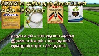 நெல் சாகுபடியில் -முதல் உரம் 1300,இரண்டாம் உரம் 1600,மூன்றாம் உரம் -600 விலை குறைந்த உரங்களேபோதும்