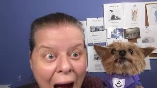 FlossTube #194: I Got A New Dog! New Patterns! I Cross Stitched, Too....