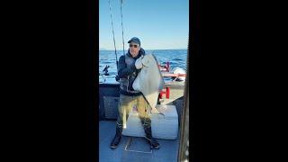 Halibut Fishing Port Angeles