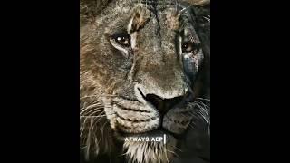 He is Taka not Scar | Lion king Edit | #shorts #mufasa #lion #viral #trending