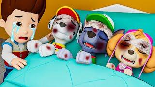 Goodbye All My Friends | RYDER Very Sad Story || - Paw Patrol 3D Animation