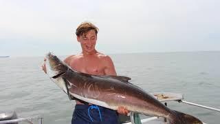 Cobia Fishing Tips