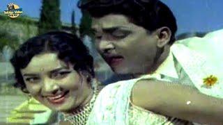 ANR AND JAMUNA VINNANULE PRIYA TELUGU LOVE SONG | BANDIPOTU DONGALU MOVIE #ghantasala #psusheela