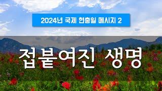 지방교회 (서울교회 도봉) 자매집회 현충일  - M2 접붙여진 생명