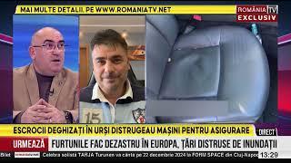 Patru bărbați costumați în urși și-au distrus mașinile de lux